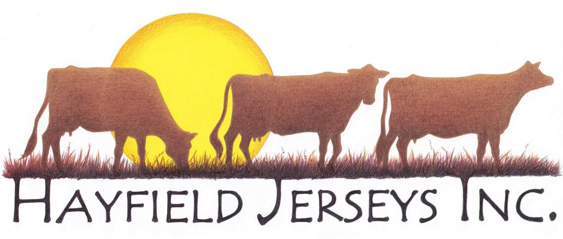 Hayfield Jerseys Inc
